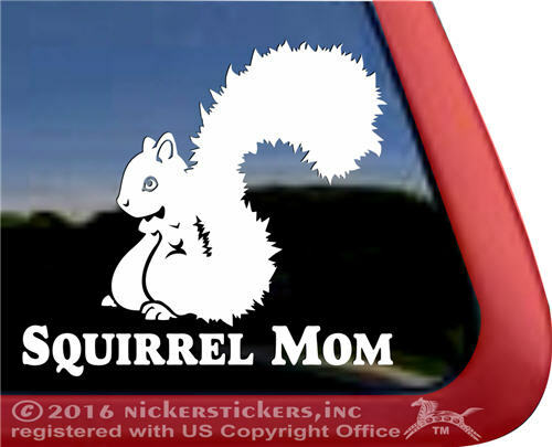 Squirrel Mom | High Quality Vinyl Adhesive Decal