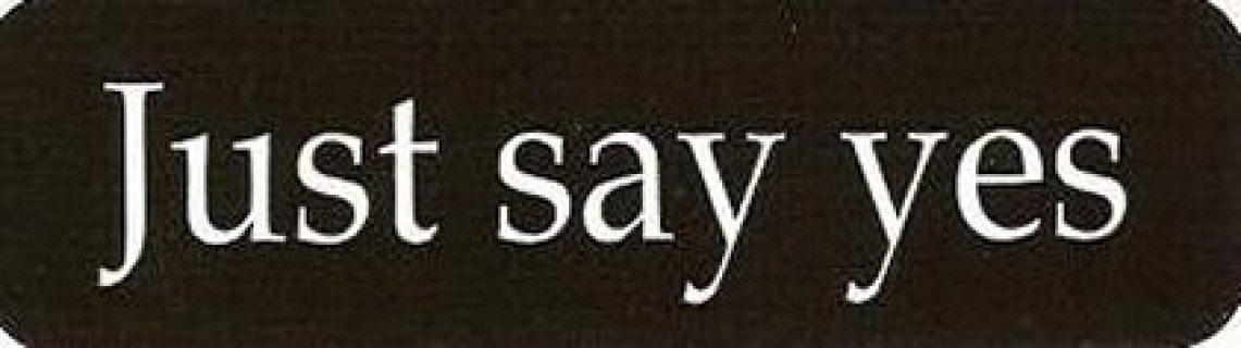 Motorcycle Sticker for Helmets or toolbox #1,190 Just Say Yes