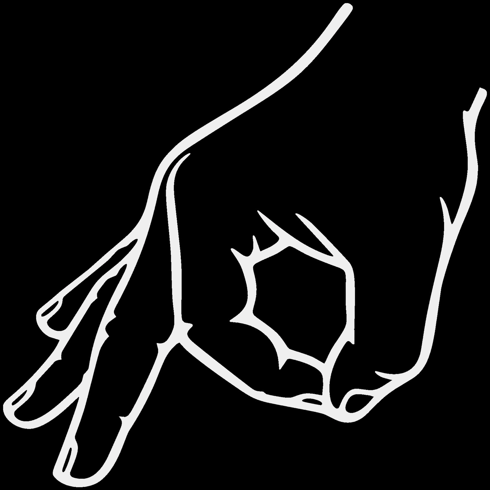 Made You Look Die Cut Vinyl Car Truck Window Decal Bumper Sticker US Seller