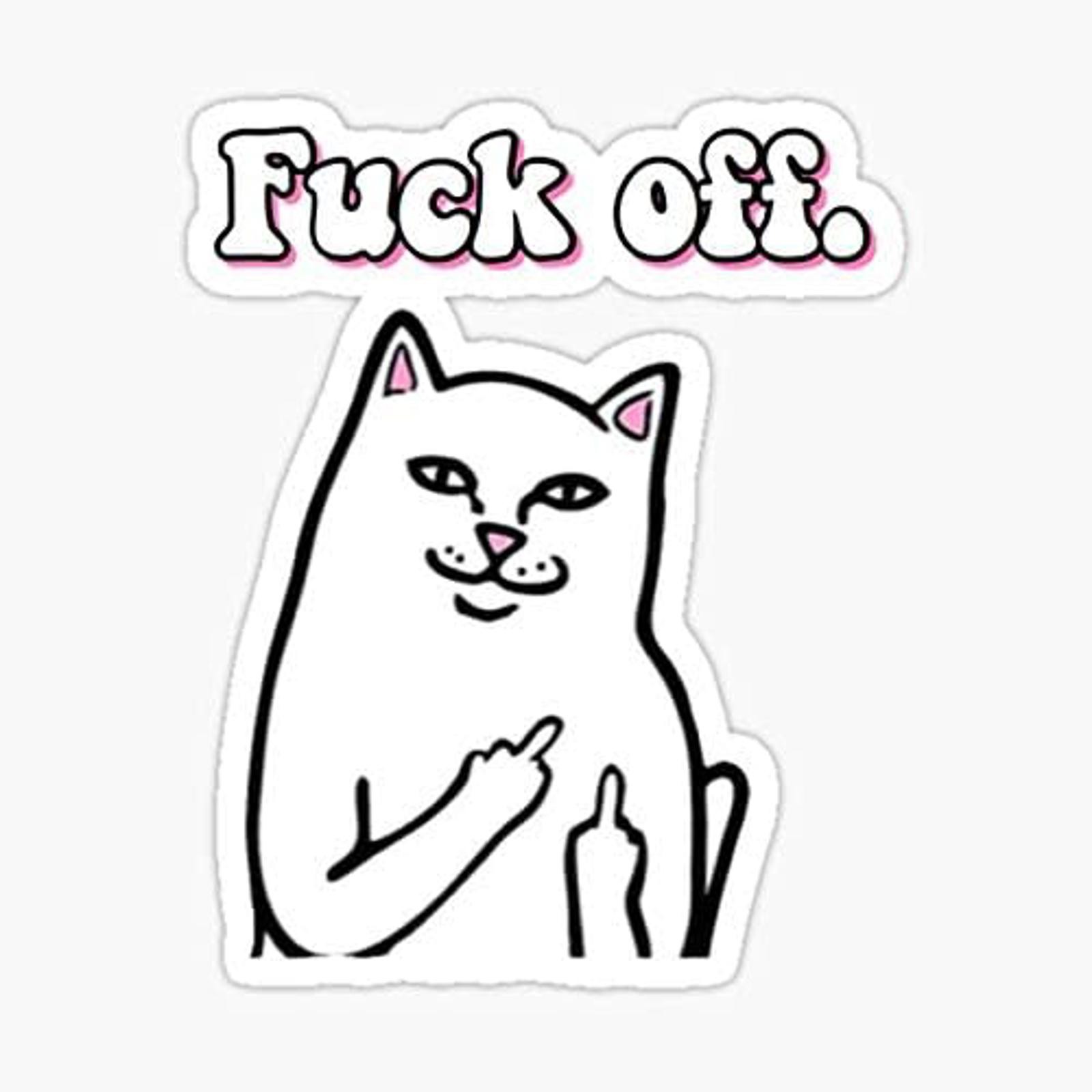 5″ Middle Finger Birds Up Cat Meme Vinyl Bumper Sticker
