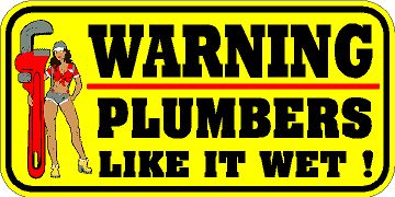 WARNING DECAL / STICKER ** NEW ** PLUMBERS LIKE IT WET * sexy lady