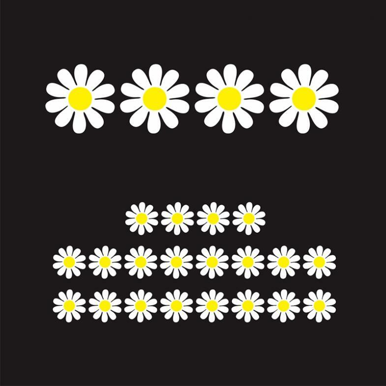 48 Daisy Flower Decal Car Stickers Graphics Bedroom Wall Window Decoration Art