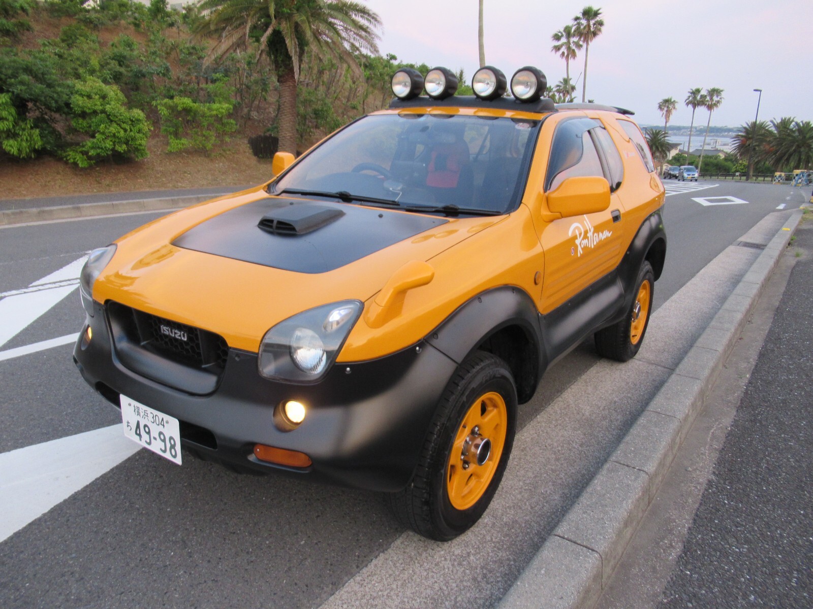 ♦ISUZU VehiCROSS♦ 3D Decal/Emblem♦1997-2001♦ 2pcs. (left ＆ right)♦