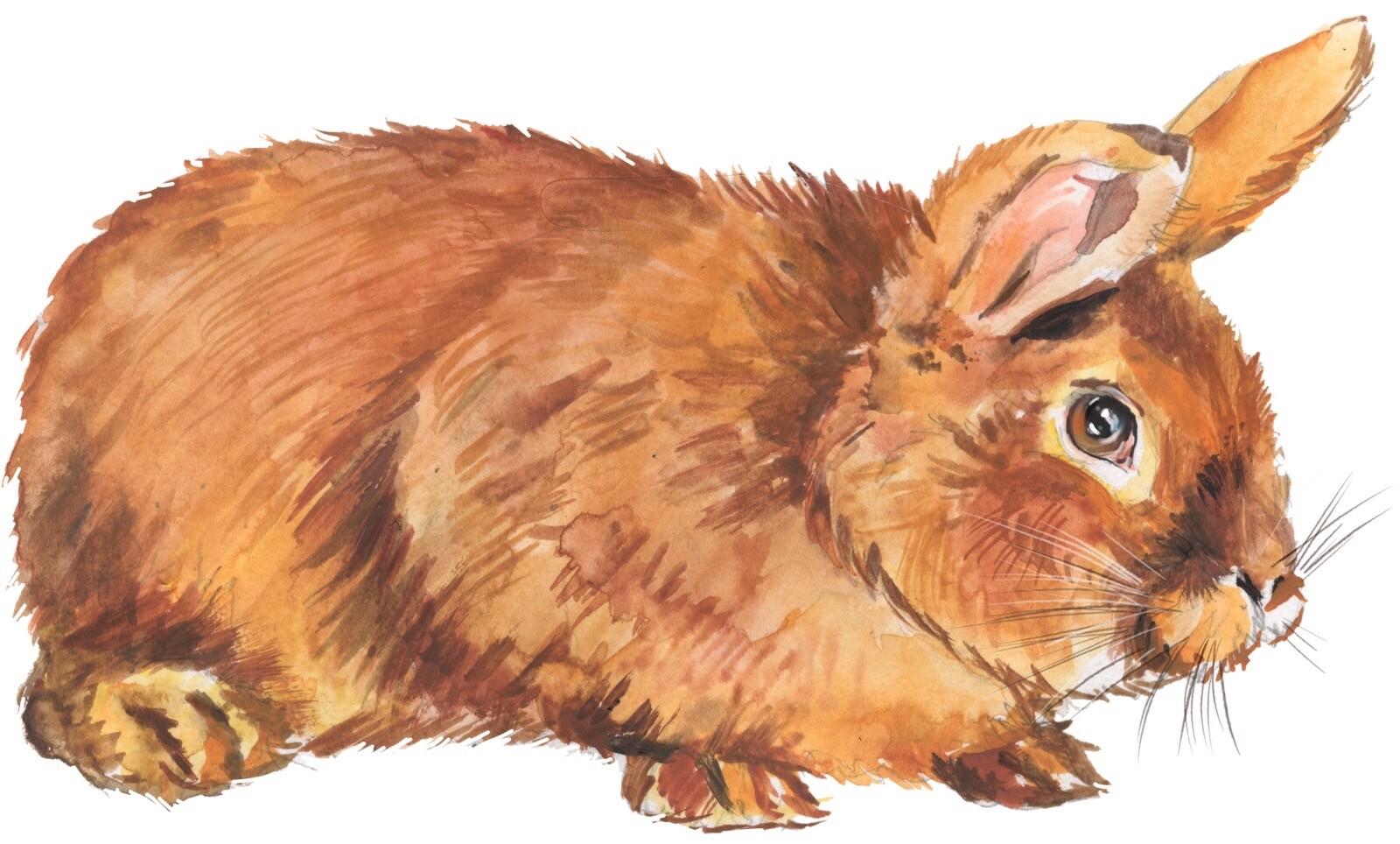4” Brown Rabbit Bunny Sticker Brown Cute Fluffy Furry Domestic Pet Adopt