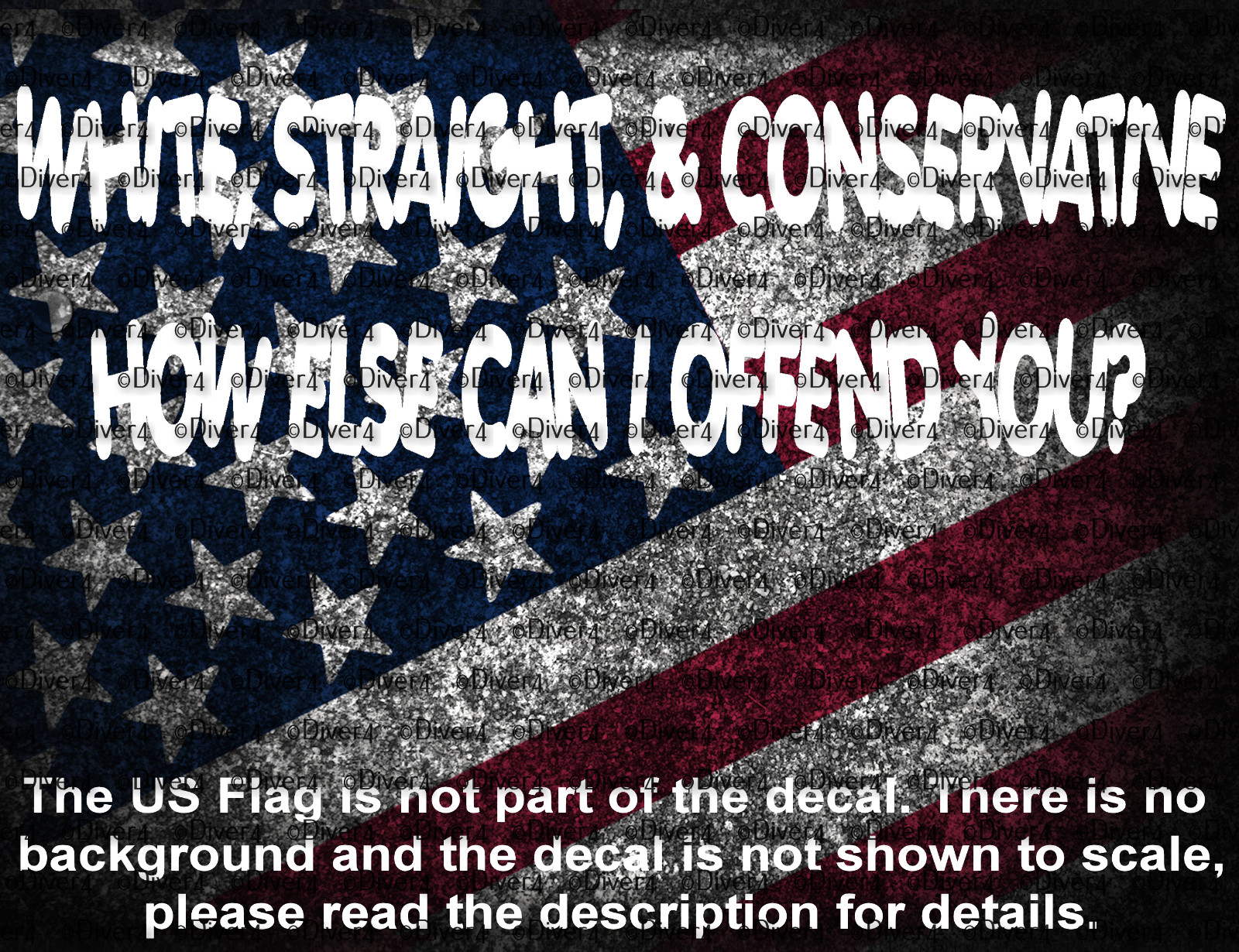 White Straight & Conservative How Else Can I Offend You Vinyl Decal US Seller