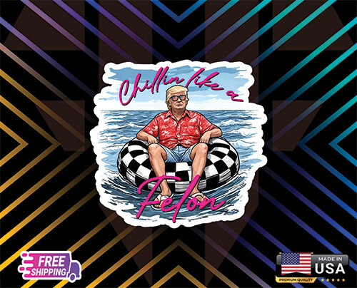 DONALD TRUMP MAGA REL 2024 USA STICKER DECAL LMNTED VINYL LAPTOP FREE GIFT