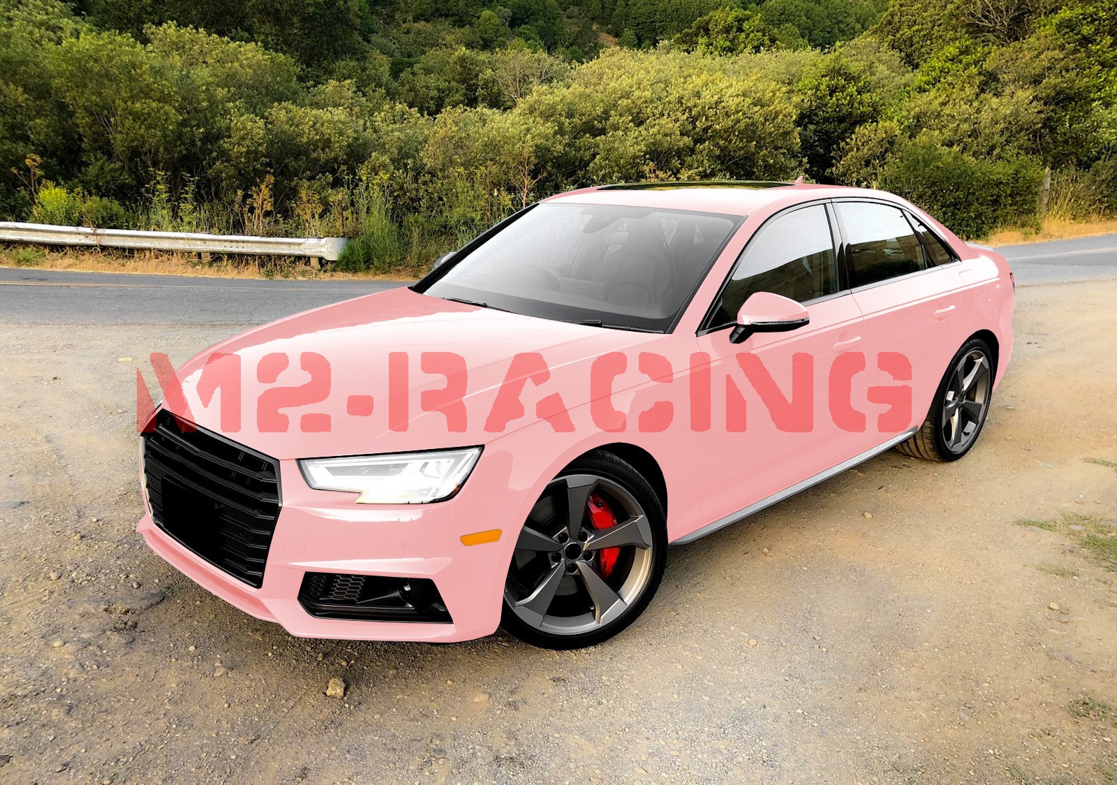 5FTx7FT PPF Blossom Pink Gloss Color Vinyl Paint Protection Film Scratch Wrap