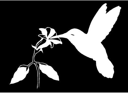 WHITE Vinyl Decal – Hummingbird with flower bird fly fun sticker nector cute