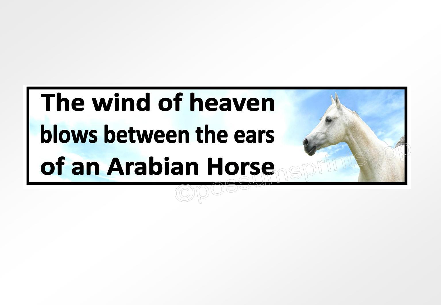 Arabian horse car bumper sticker the wind of heaven between the ears 200 x 52mm