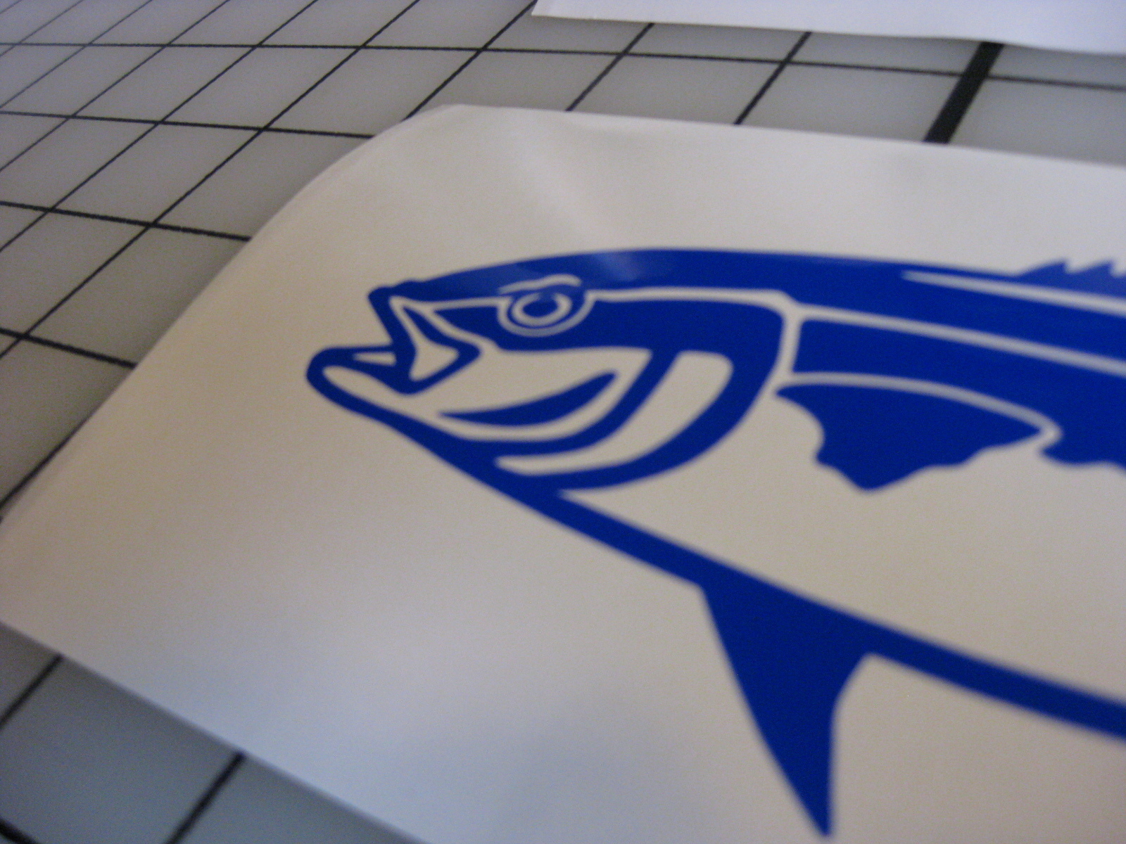 Two BLUE 8″ Yellowtail Fish Decals Fishing Truck Car Boat Window Bumper Sticker