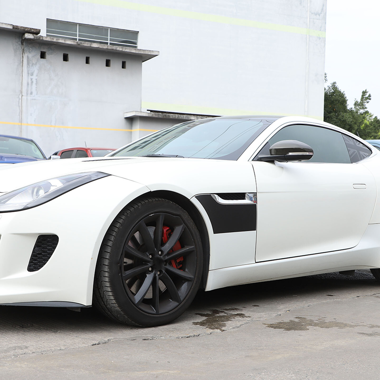 Carbon Fiber Texture Side Fender Graphic Accent Decal Fits Jaguar F-TYPE 13-20