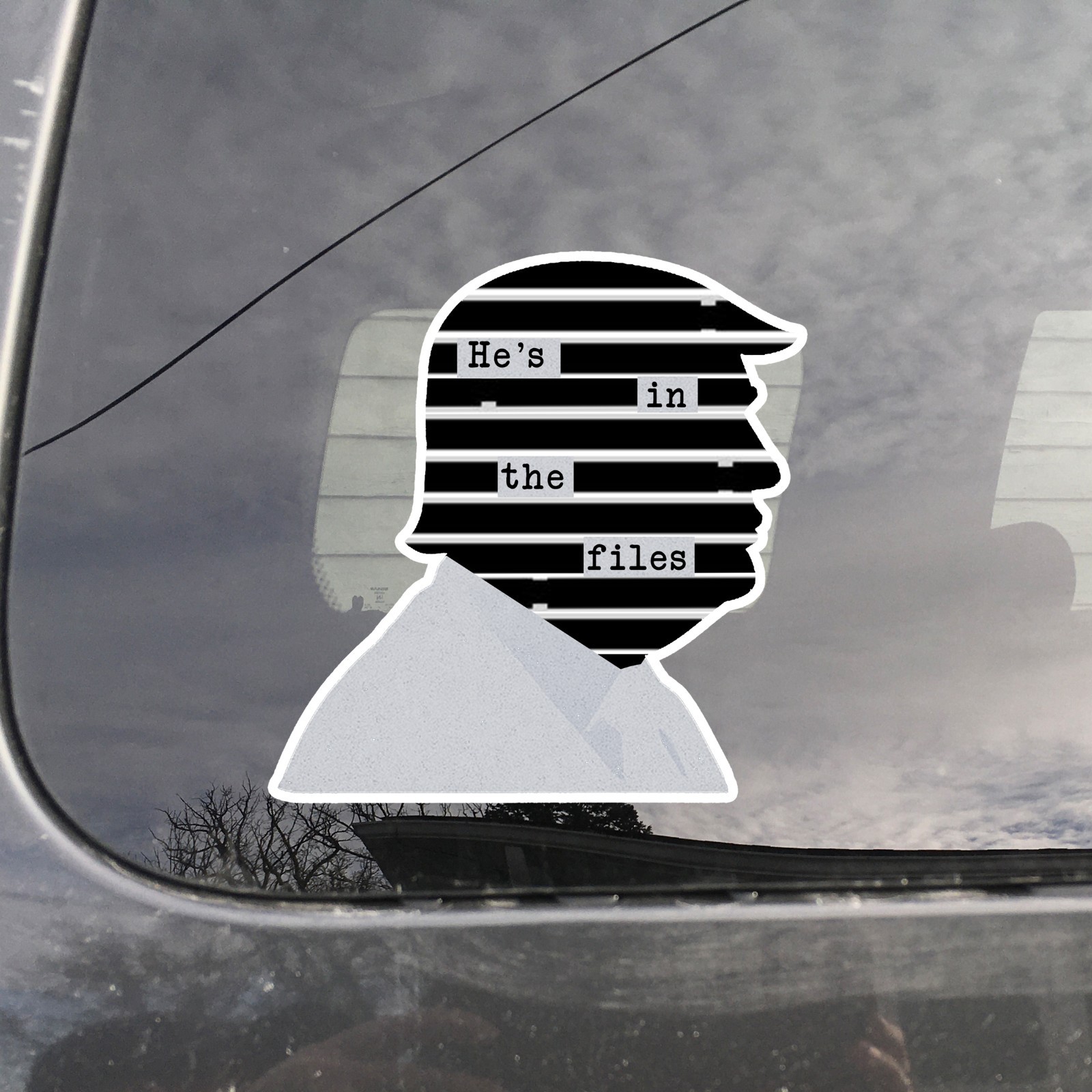 He’s in the Files, Epstein, Die Cut Sticker, Funny, Liberal, FDT, Anti Trump